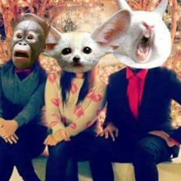 💚💚LOW PRICES & #PoshLove - Picture 1 of 1